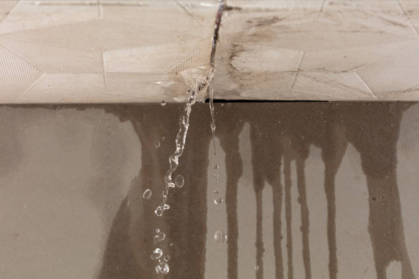 Professional Water Damage Repair technician working in Riesel, TX